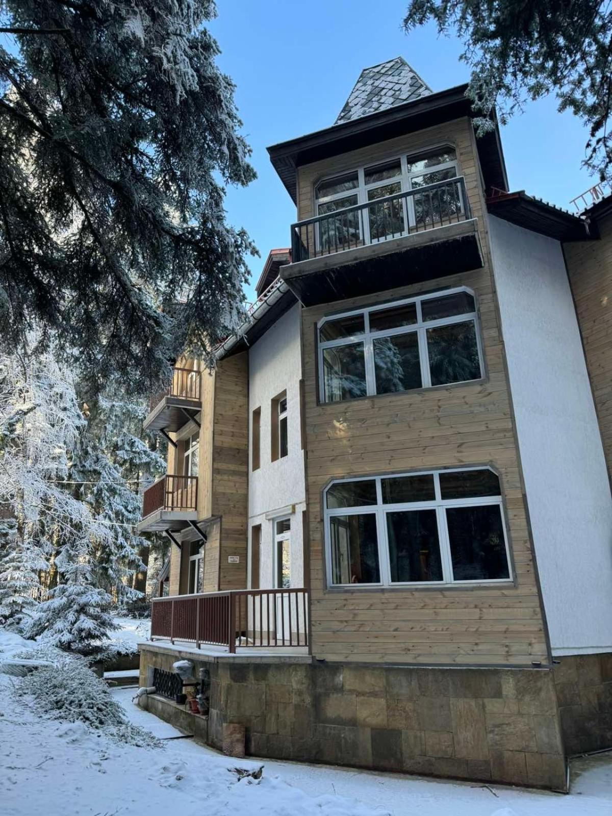 The Forest Villa Borovets Exterior foto