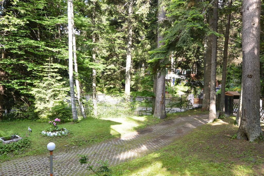 The Forest Villa Borovets Exterior foto